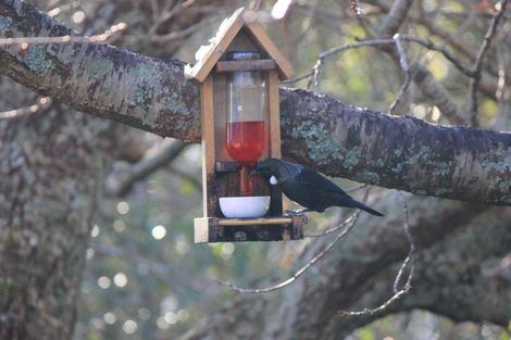 Photo of property in 1266 Egmont Road, Egmont Village, 4372