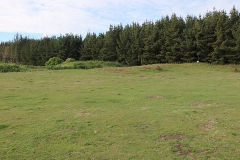 Photo of property in 10 Maury Place, Foxton, 4814