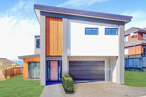 Photo of property in 49 Ashton Fitchett Drive, Brooklyn, Wellington, 6021