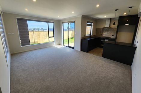 Photo of property in 114b Lisle Farm Drive, Pukekohe, 2120