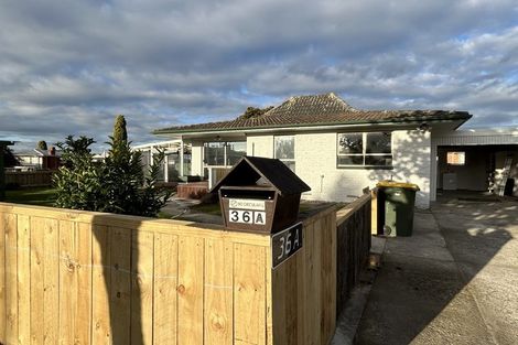 Photo of property in 36a Lancaster Street, Dinsdale, Hamilton, 3204