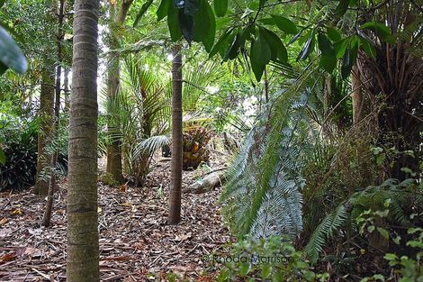 Photo of property in 45 Gorge Road, Maungaturoto, 0520