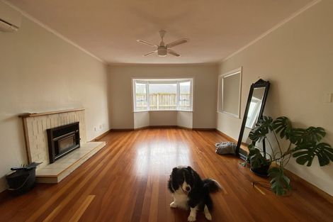 Photo of property in 22 Niccol Avenue, Narrow Neck, Auckland, 0624