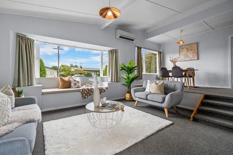 Photo of property in 41 Fitzroy Avenue, Fitzroy, Hamilton, 3206
