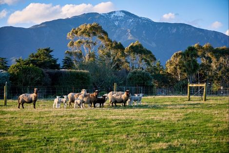 Photo of property in 399a Inland Road, Inland Road, Kaikoura, 7373