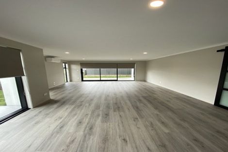 Photo of property in 52 Hammick Crescent, Pyes Pa, 3112