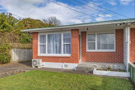 Photo of property in 43 Trafalgar Street, Levin, 5510