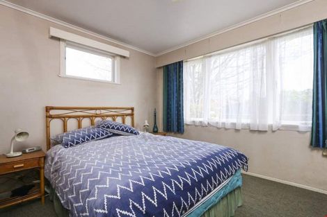 Photo of property in 22b Tomo Street, New Lynn, Auckland, 0600