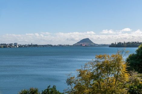 Photo of property in 370 Maungatapu Road, Maungatapu, Tauranga, 3112