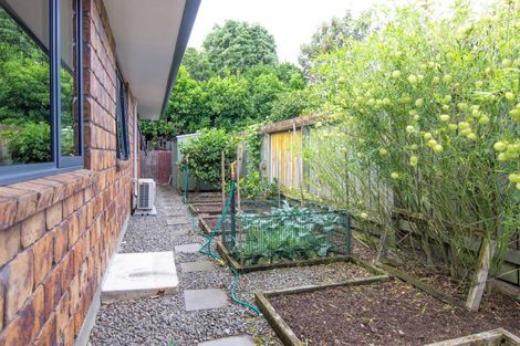 Photo of property in 28a Knowles Street, Terrace End, Palmerston North, 4410