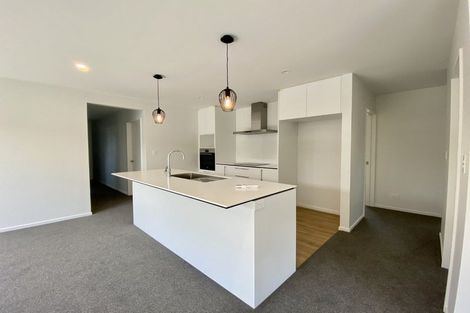 Photo of property in 25 Sarah Nicholls Street, Belfast, Christchurch, 8051