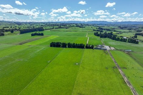 Photo of property in 1678 Kimbolton Road, Cheltenham, Feilding, 4777