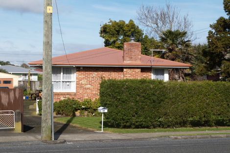 Photo of property in 17 Wakefield Road, Favona, Auckland, 2024