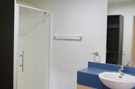 Photo of property in Hanson House, 7a/27 Hanson Street, Mount Cook, Wellington, 6021