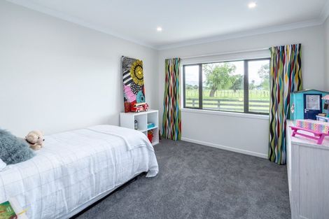 Photo of property in 2/53 Jellicoe Street, Greytown, 5712