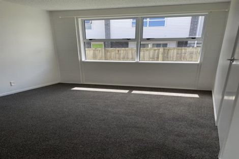 Photo of property in 14a Hogan Street, Hamilton East, Hamilton, 3216