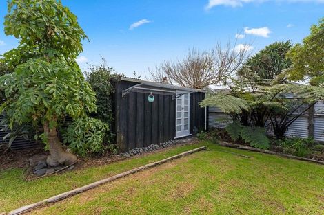 Photo of property in 94 Hine Street, New Plymouth, 4310