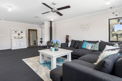 Photo of property in 2 Harris Street, Te Puke, 3119