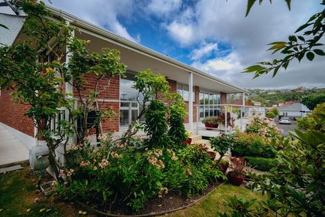 Photo of property in 3 Sandringham Street, Saint Clair, Dunedin, 9012