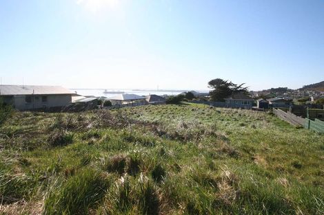 Photo of property in 60 Shannon Street, Bluff, 9814
