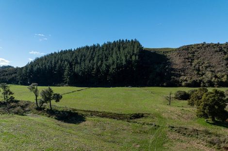 Photo of property in 924 Dovedale Road, Dovedale, Wakefield, 7096