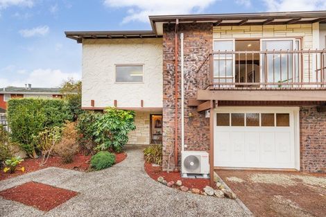 Photo of property in 47 Dittmer Drive, Awapuni, Palmerston North, 4412