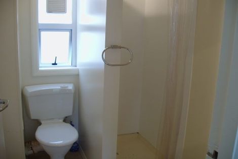 Photo of property in Avon Apartments, 11/313u The Terrace, Te Aro, Wellington, 6011
