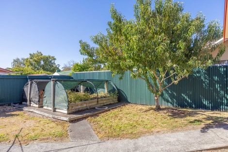 Photo of property in 38b Bailey Street, Huntly, 3700