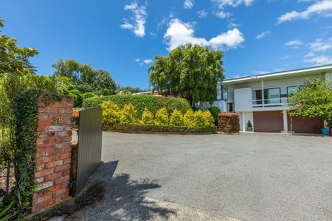 Photo of property in 38 Nelson Street, Waipukurau, 4200