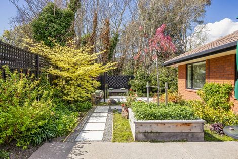 Photo of property in 5 Castle Way, Beckenham, Christchurch, 8023