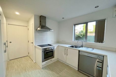 Photo of property in 17 Antrim Street, Sydenham, Christchurch, 8023