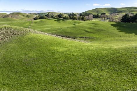 Photo of property in 930 Te Aute Trust Road, Poukawa, 4178