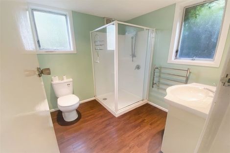 Photo of property in 55 Opawa Road, Waltham, Christchurch, 8023