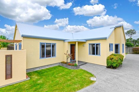 Photo of property in 201 Karaitiana Street, Frimley, Hastings, 4120