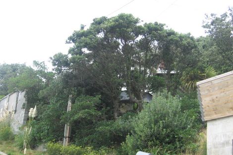 Photo of property in 31 Hungerford Road, Lyall Bay, Wellington, 6022