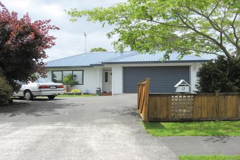 Photo of property in 12 Landon Place, Pukekohe, 2120