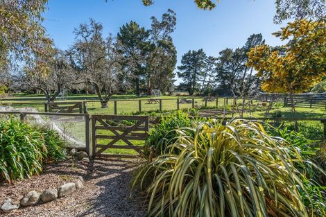 Photo of property in 328 Purchas Road, Glasnevin, Amberley, 7482