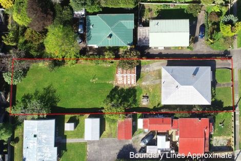 Photo of property in 12 Hutchinson Avenue, New Lynn, Auckland, 0600
