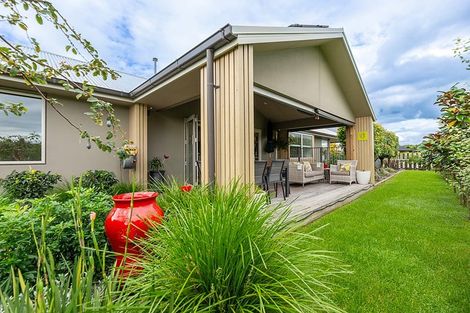 Photo of property in 299 Carmichael Road, Brookfield, Tauranga, 3110