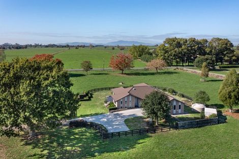 Photo of property in 16 Mill Road, Ohaupo, 3881