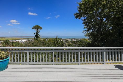Photo of property in 119 Pleasant Wood Place, Thames, 3500