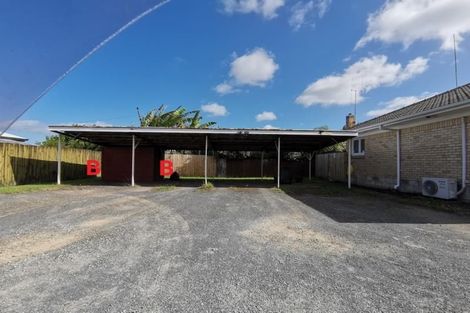 Photo of property in 170b Nixon Street, Hamilton East, Hamilton, 3216