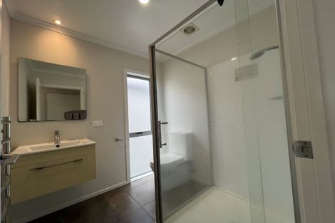 Photo of property in 42 Tennille Street, Flagstaff, Hamilton, 3210