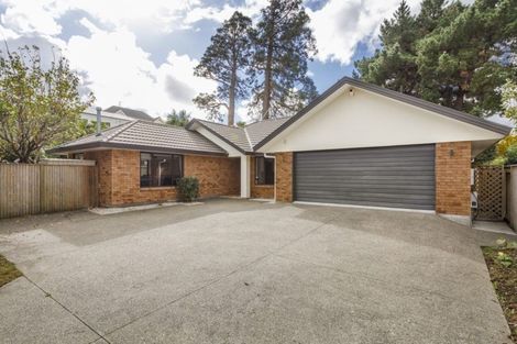 Photo of property in 28a Rainforth Street, Roslyn, Palmerston North, 4414