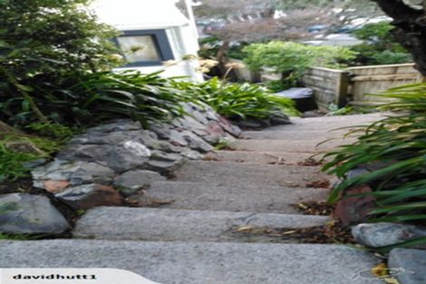 Photo of property in 61 Rolleston Street, Mount Cook, Wellington, 6021