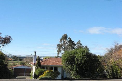 Photo of property in 81 Porangahau Road, Waipukurau, 4200