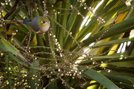 Photo of property in 69 Lavaud Street, Berhampore, Wellington, 6023