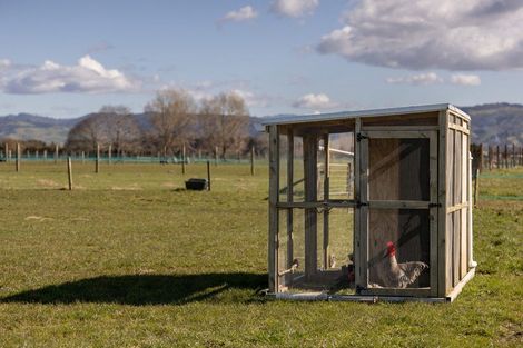 Photo of property in 84 Grieve Road, Otakiri, Whakatane, 3193