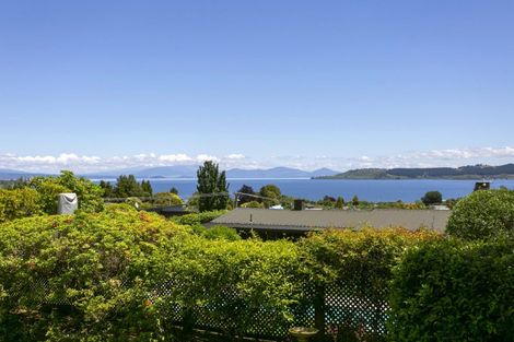 Photo of property in 46 Gillies Avenue, Taupo, 3330