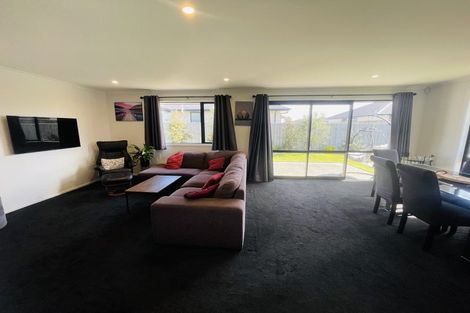 Photo of property in 17 Fairmile Road, Richmond, 7020